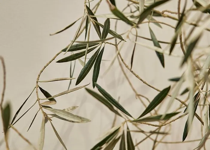 Casa Beltane * A Coruna